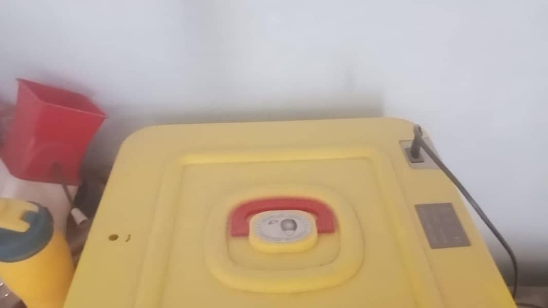 imported fully automatic incubator 1