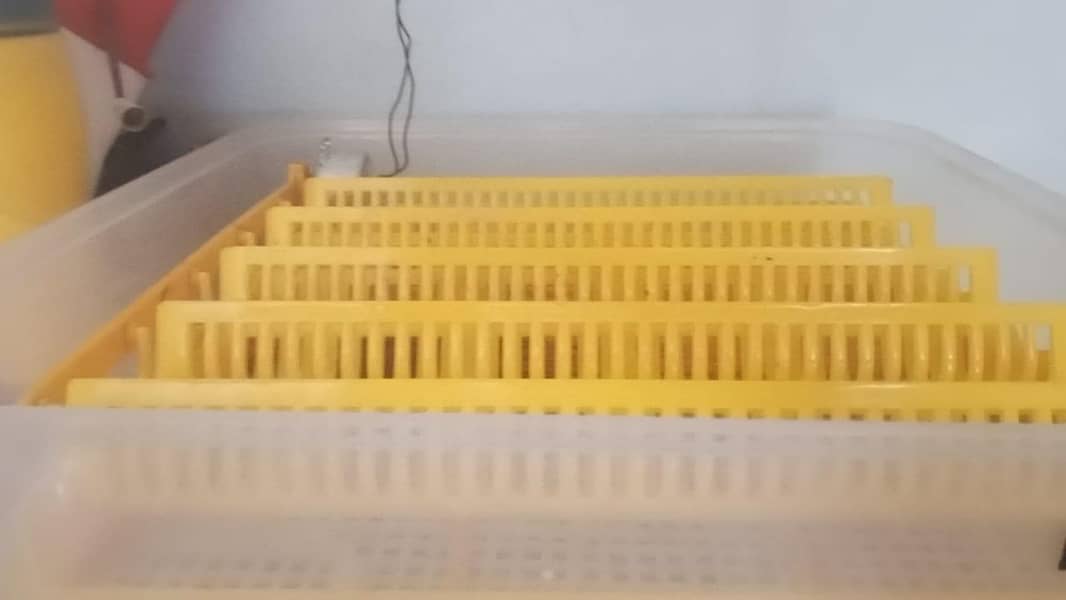 imported fully automatic incubator 2