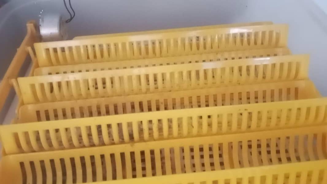 imported fully automatic incubator 3