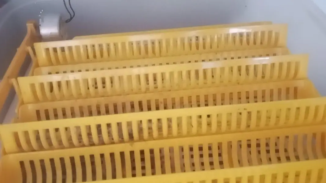 imported fully automatic incubator — photo 4