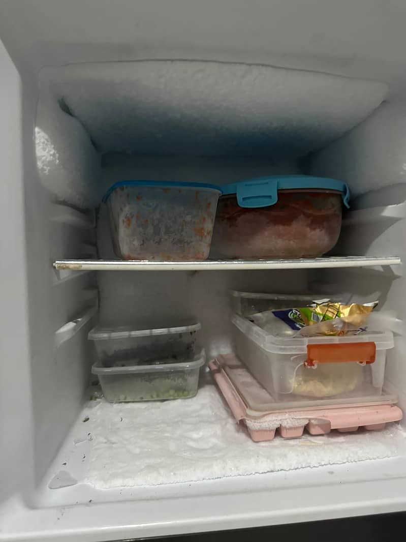 Fridge 1
