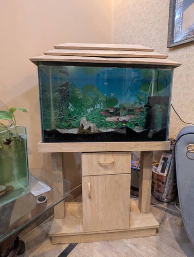 aquarium