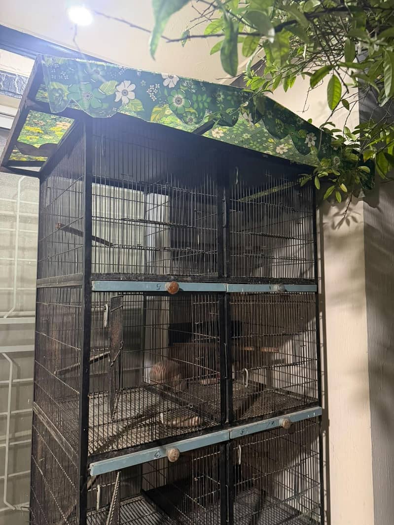 8 portion cage 2