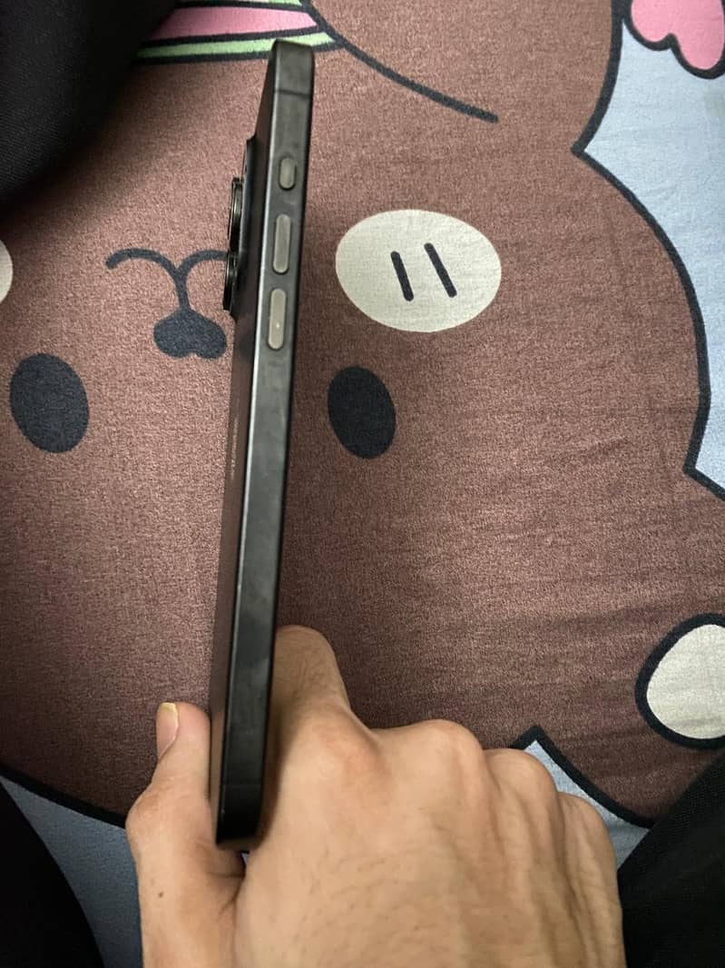 Apple iPhone 15 Pro Max 3