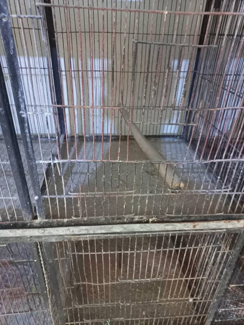 8 Portion Angle Cage 1