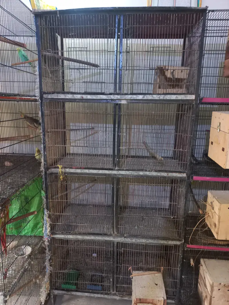 8 Portion Angle Cage — photo 3