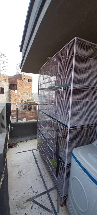 Cage like new conditions 9 by 10.