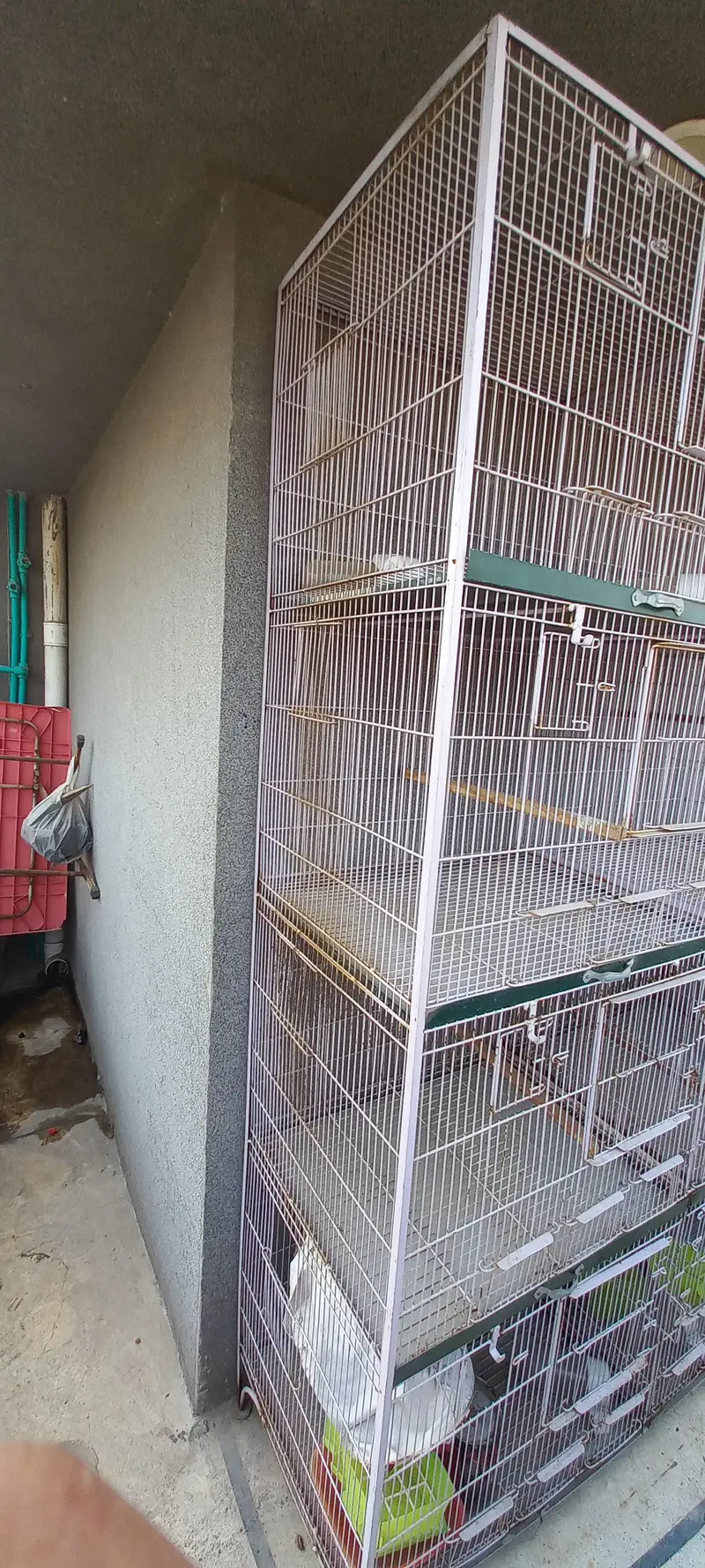 Cage like new conditions 9 by 10. — photo 3