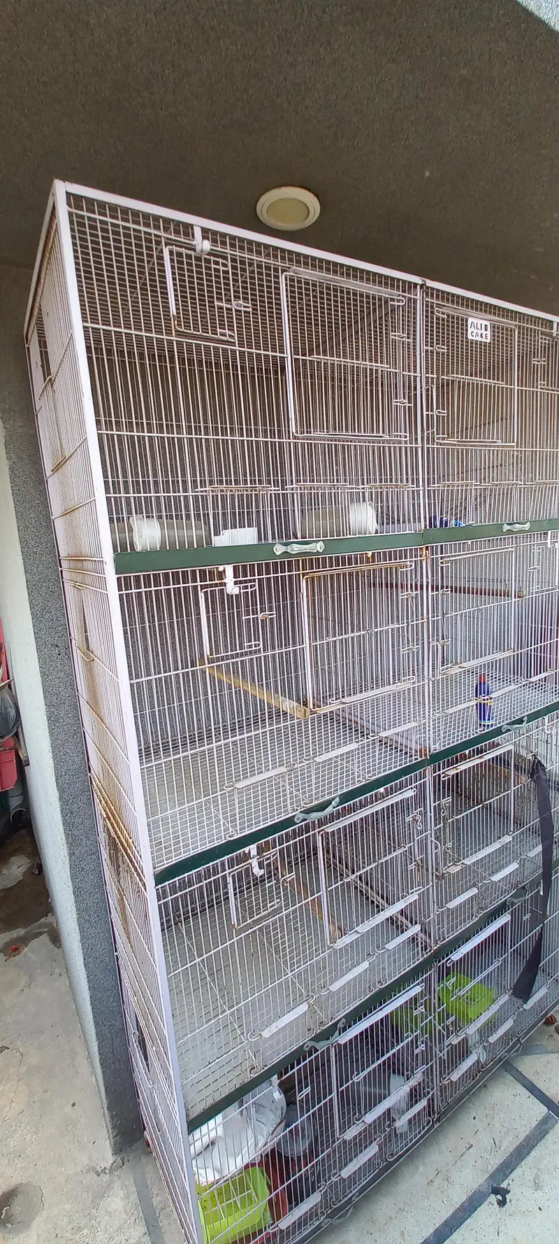 Cage like new conditions 9 by 10. — photo 4
