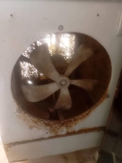 Air coolers