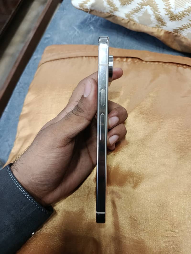 Google Pixel 9 Pro XL 1