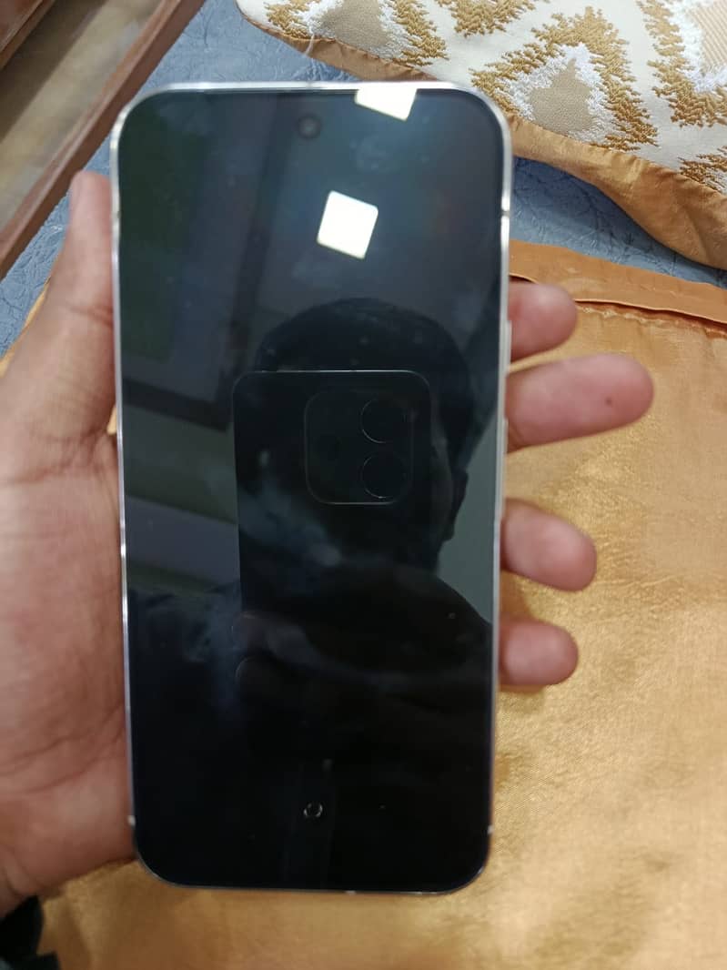 Google Pixel 9 Pro XL 5