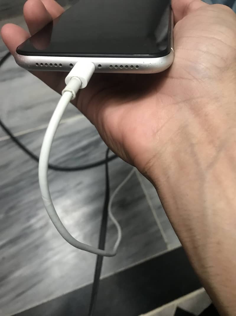 Apple iPhone 11 4