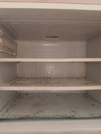 pel full size refrigerator for sale