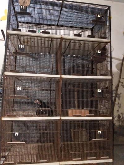 Birds Cage for8 Portion Bird Cage for Sale | Heavy Duty Breeding Cage