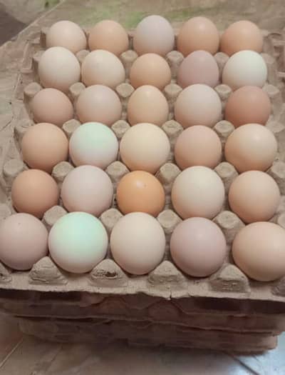 Desi eggs/ Fresh organic eggs available. . . 03367349141