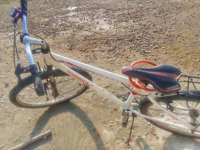bicycle for sale and cycle