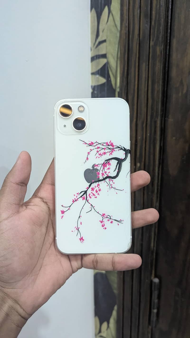 Apple iPhone 13 0