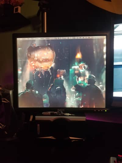 Dell 1905FP 19" LCD Monitor — 1280×1024 @ 75Hz