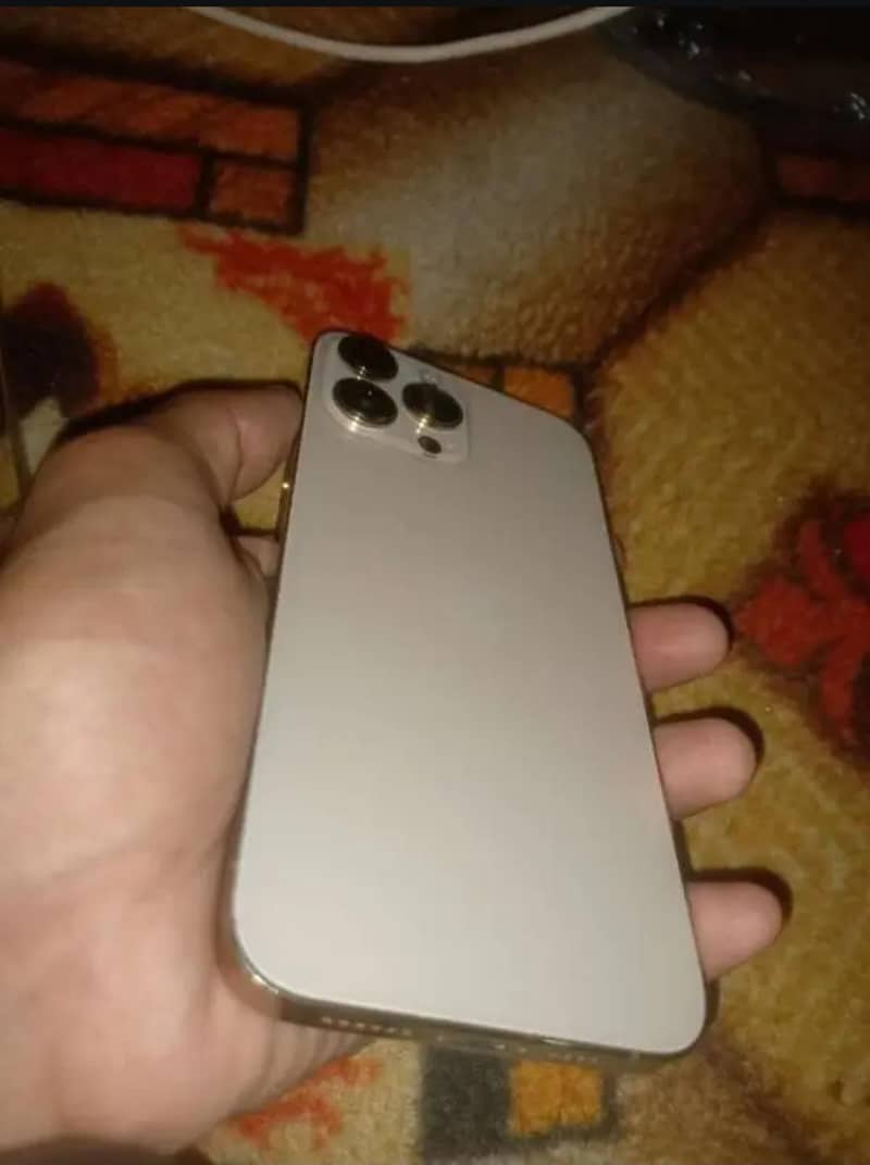Apple iPhone 13 Pro Max 1