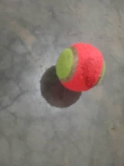 cricket ball