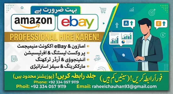 Required Amazon & E-Bay Professionals