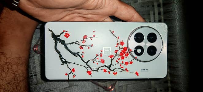 One Plus 13R