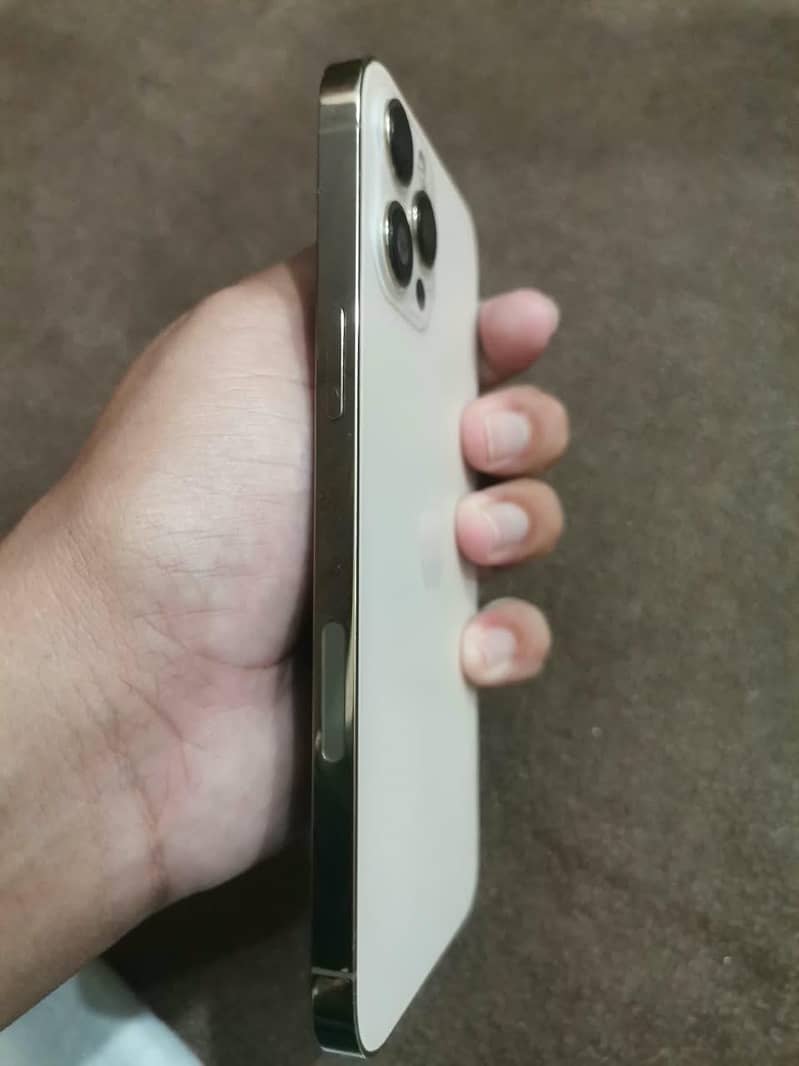 Apple iPhone 12 Pro Max 2