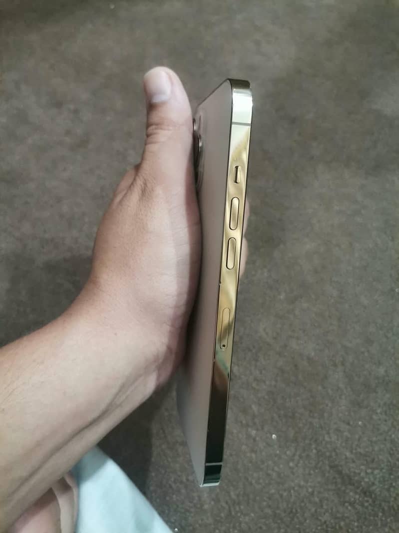 Apple iPhone 12 Pro Max 3
