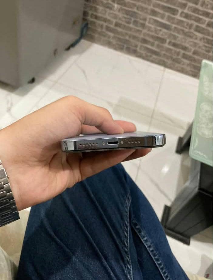 Apple iPhone 13 Pro Max 6
