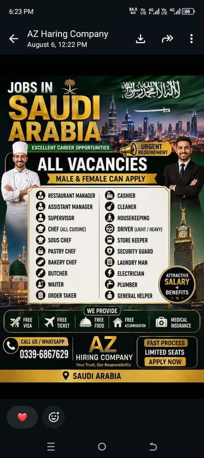 male and female jobs in sudia