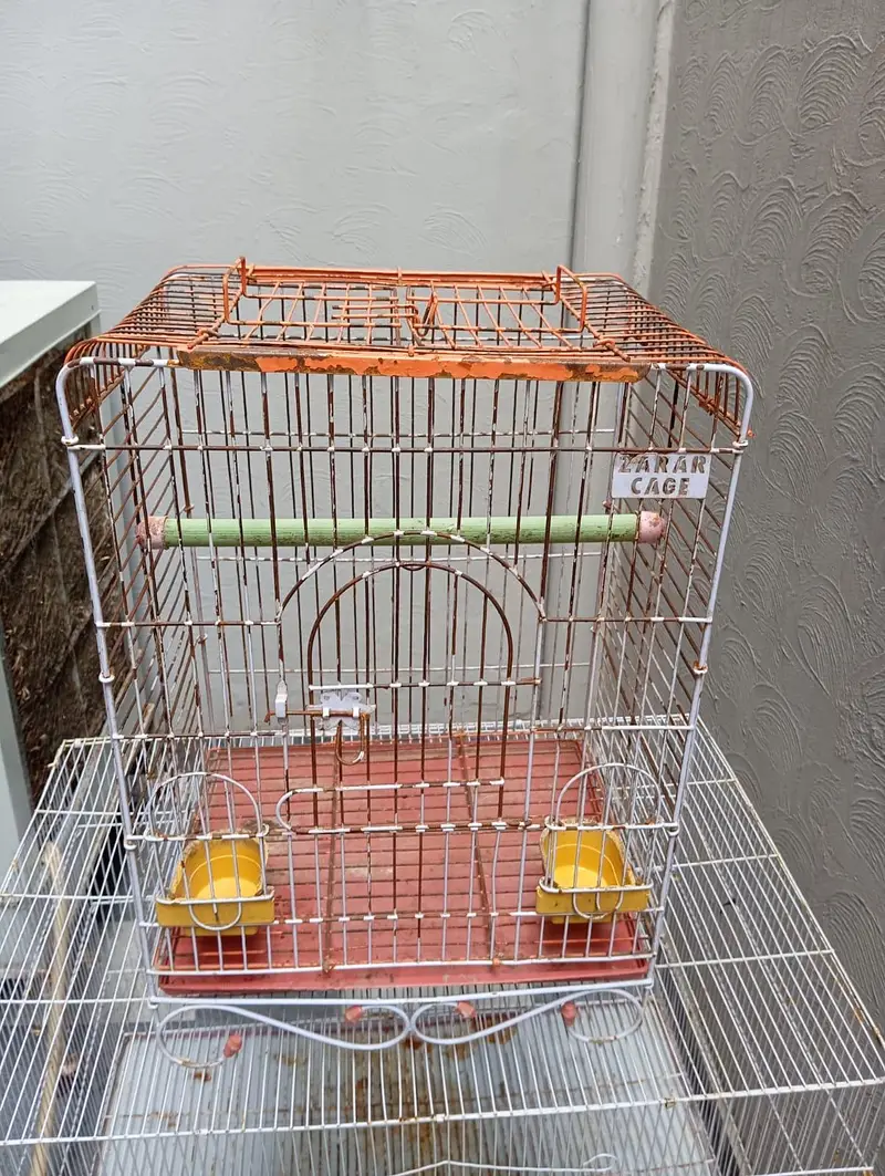 Cages for Sell 3