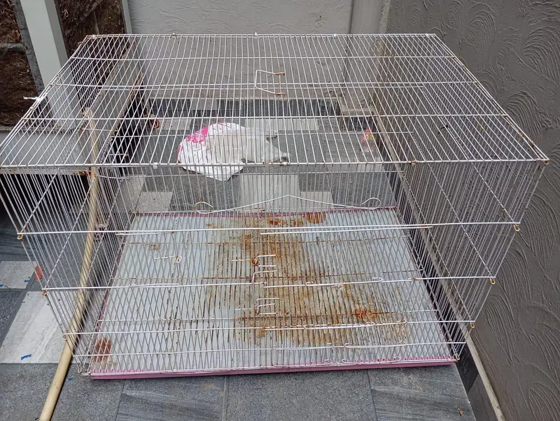 Cages for Sell 3 — photo 2