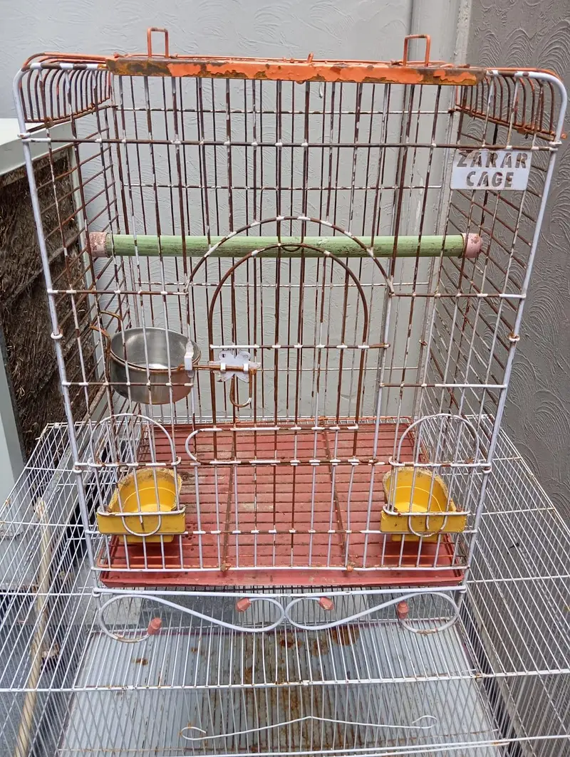 Cages for Sell 3 — photo 3
