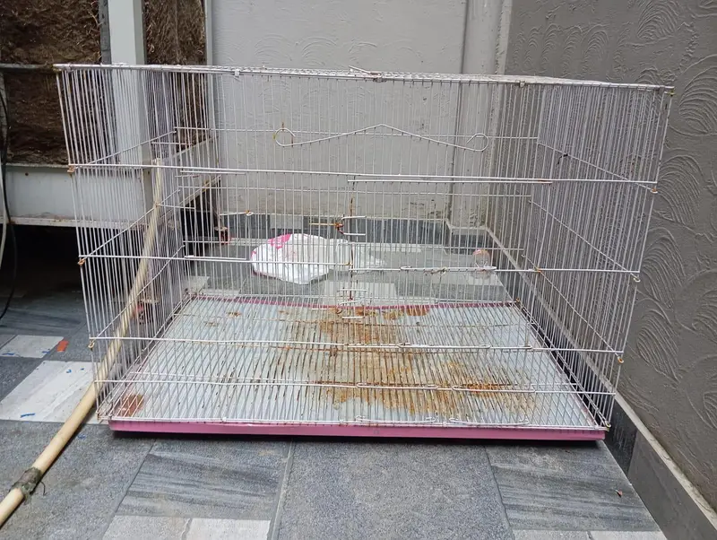 Cages for Sell 3 — photo 4