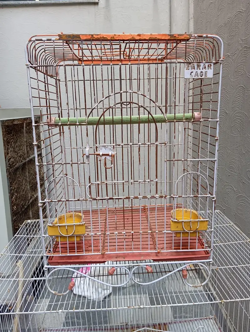 Cages for Sell 3 — photo 5