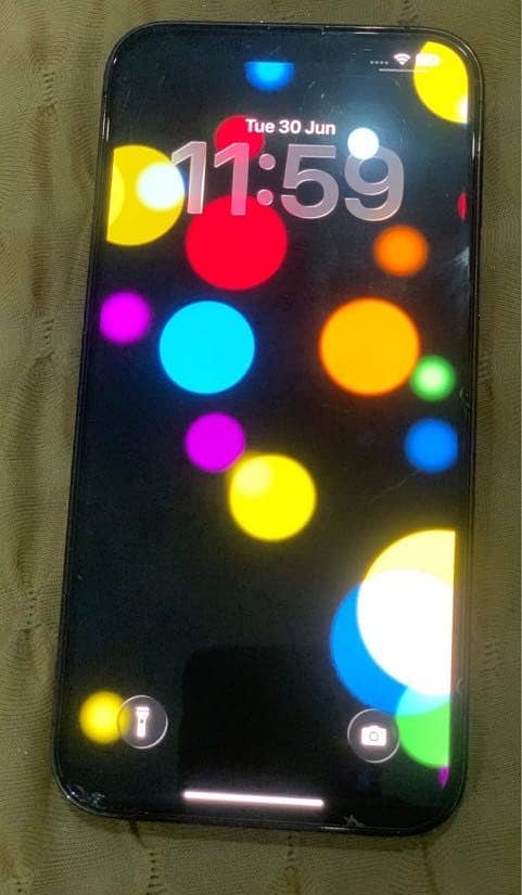 Apple iPhone 13 Pro Max 5