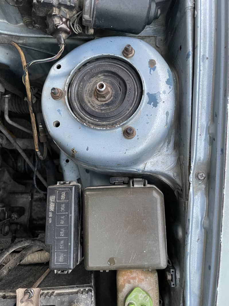 Baleno 8