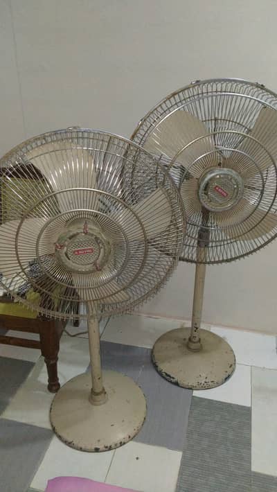 Royal Fans For Sale