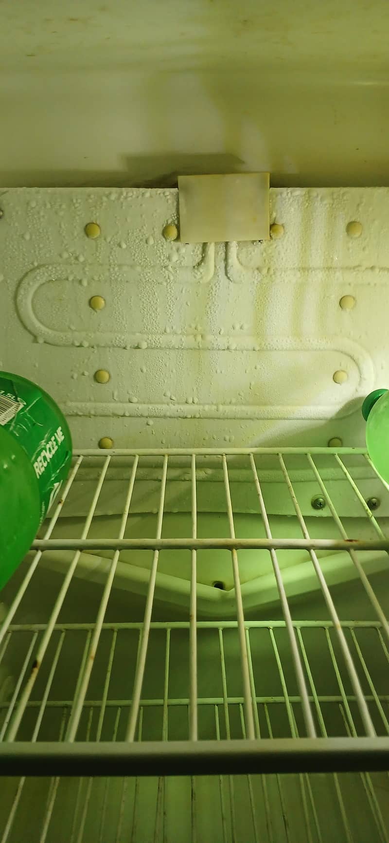 refrigerator 4