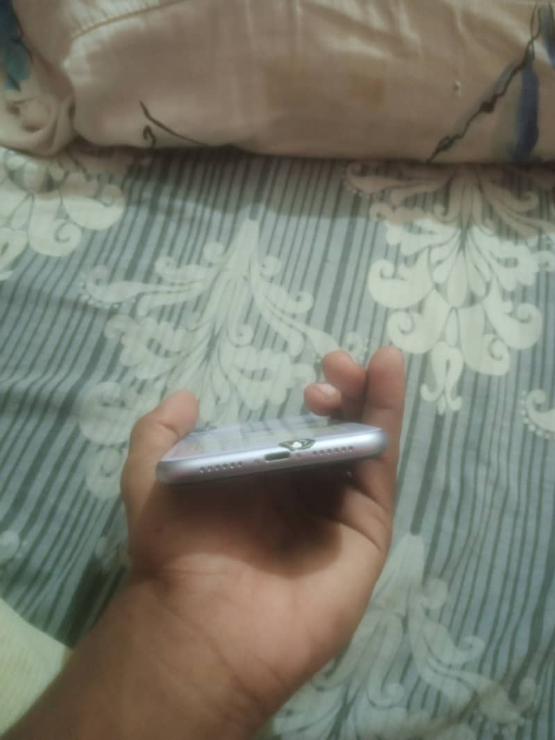 iPhone 11 3
