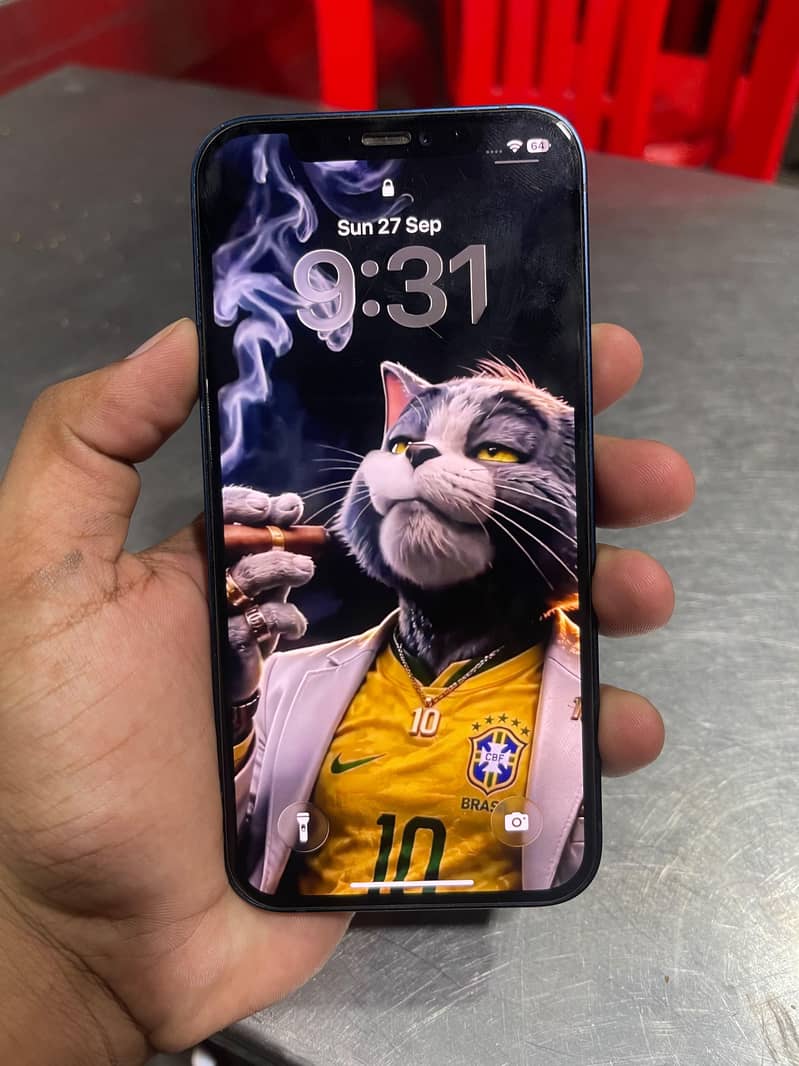 Apple iPhone 12 0