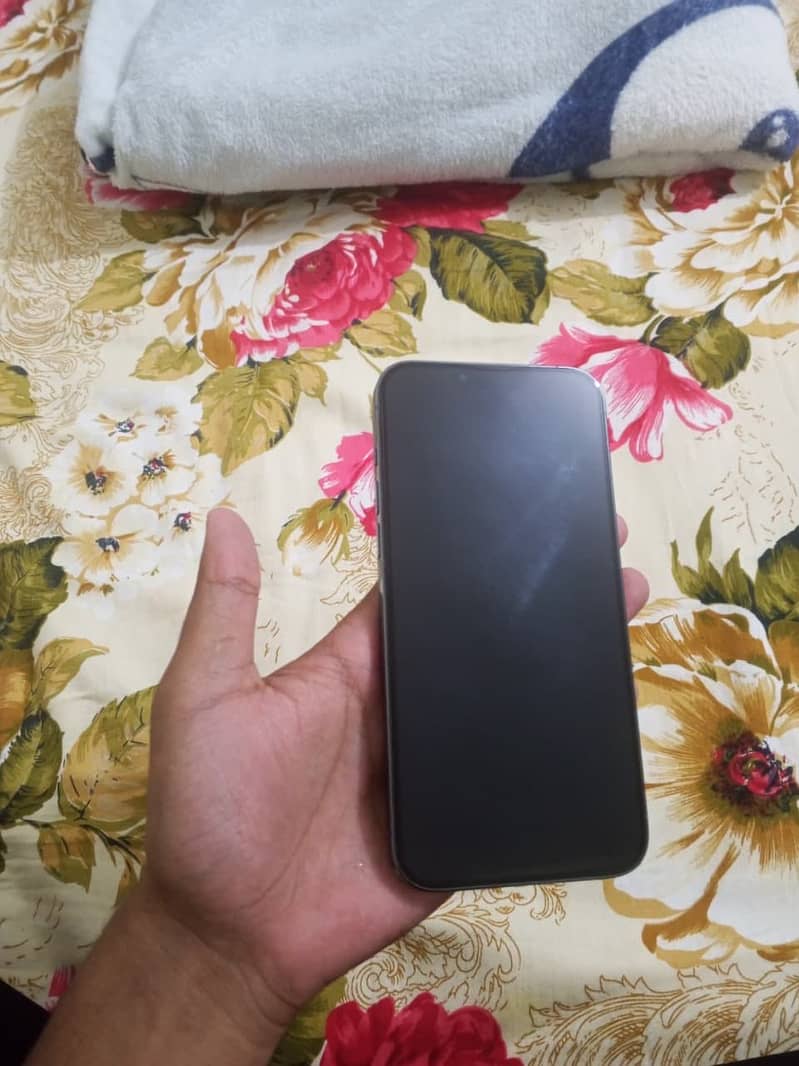 Apple iPhone 13 Pro Max 0