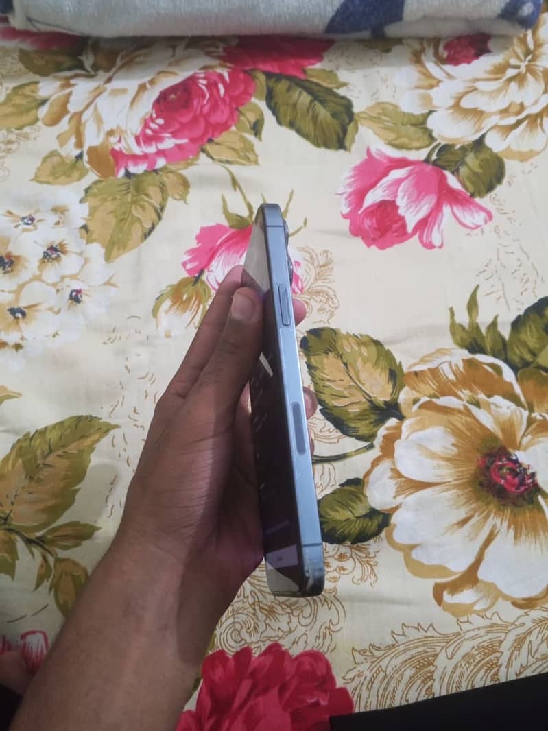 Apple iPhone 13 Pro Max 1