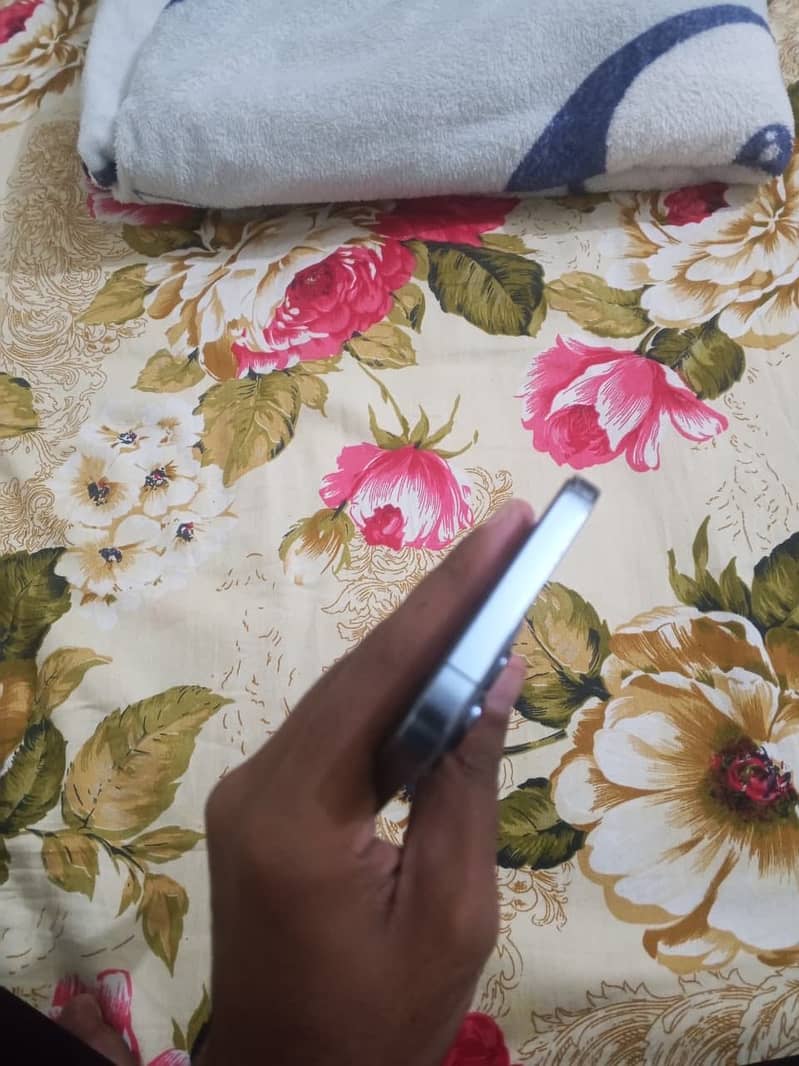 Apple iPhone 13 Pro Max 3