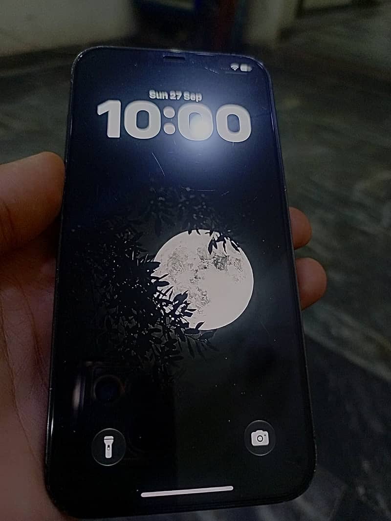 Apple iPhone 12 Pro Max 0