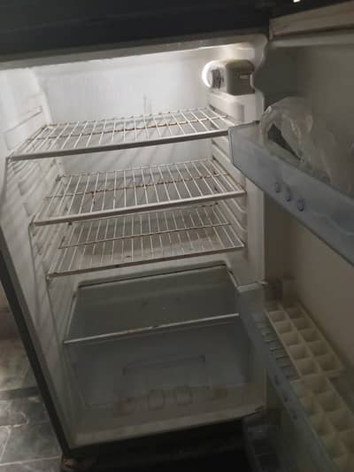 medium size frige