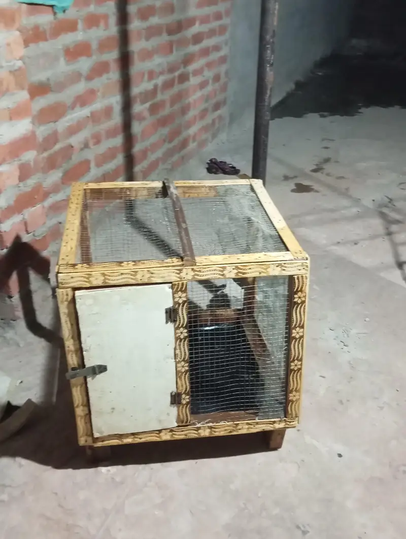 Hen cage for sale in Lahore — photo 3