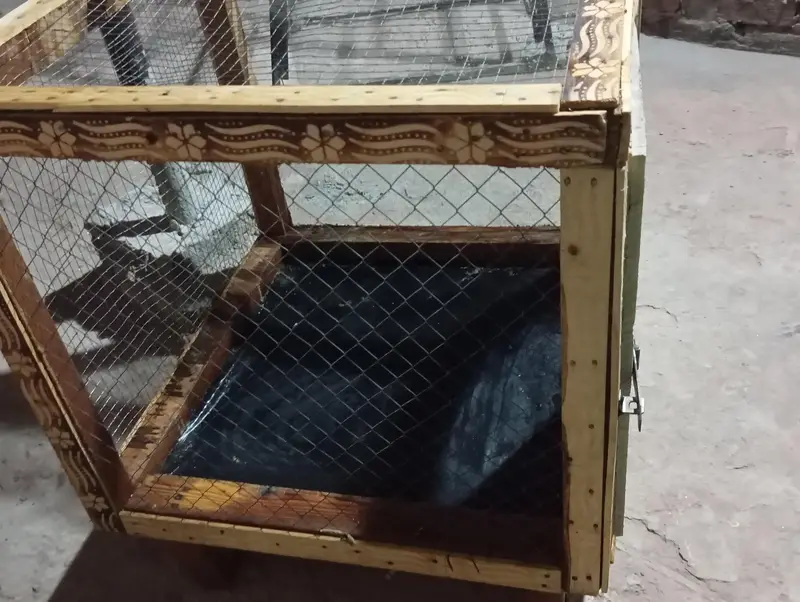 Hen cage for sale in Lahore — photo 4