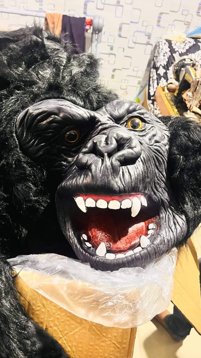 Gorilla 1